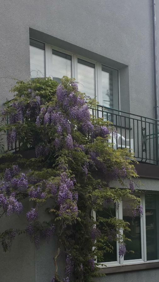 Willa Przy Plazy Gdynia Kamienna Gora ภายนอก รูปภาพ